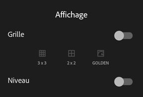 Options d’incrustation du viseur dans Adobe Photoshop Lightroom pour mobile (Android)