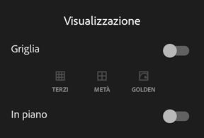 Opzioni di sovrapposizione nel mirino in Adobe Photoshop Lightroom per dispositivi mobili per (Android)
