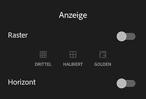 Sucher-Überlagerungsoptionen in Adobe Photoshop Lightroom für Mobilgeräte (Android)