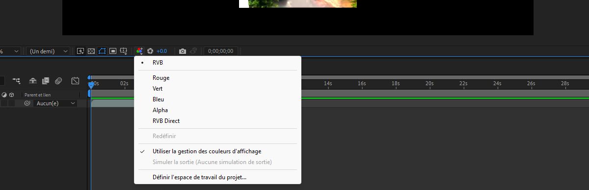 La boîte de dialogue Afficher les paramètres de gestion des canaux et des couleurs est ouverte et l’option Utiliser la gestion des couleurs d’affichage est cochée.