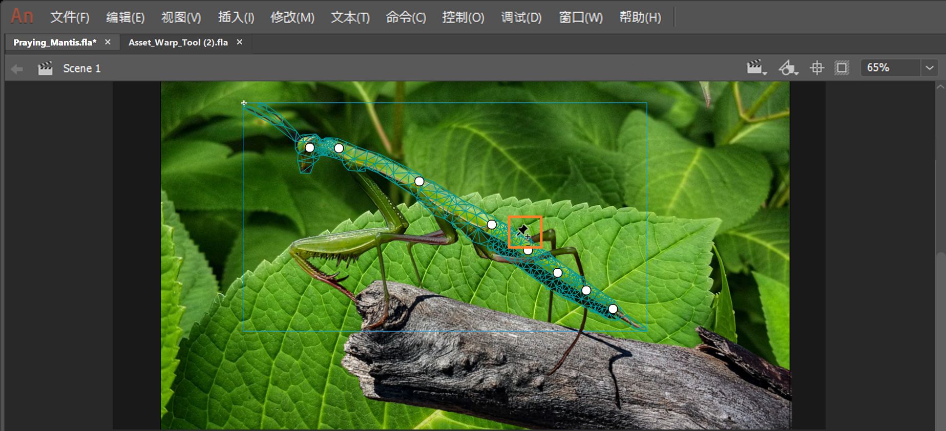 将鼠标悬停在形状或绘制对象上