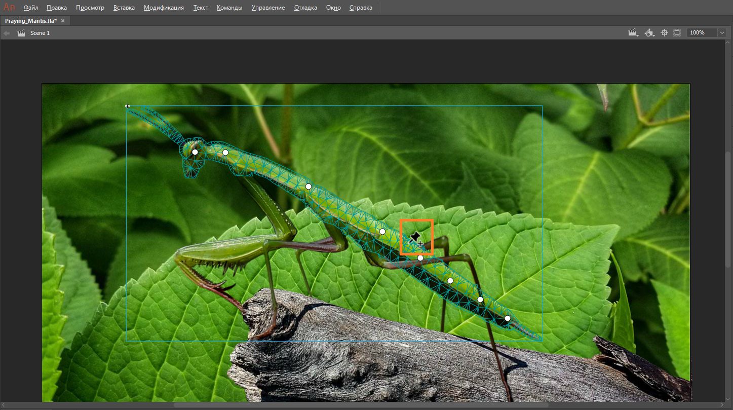 Наведение курсора на фигуру или графический объект.