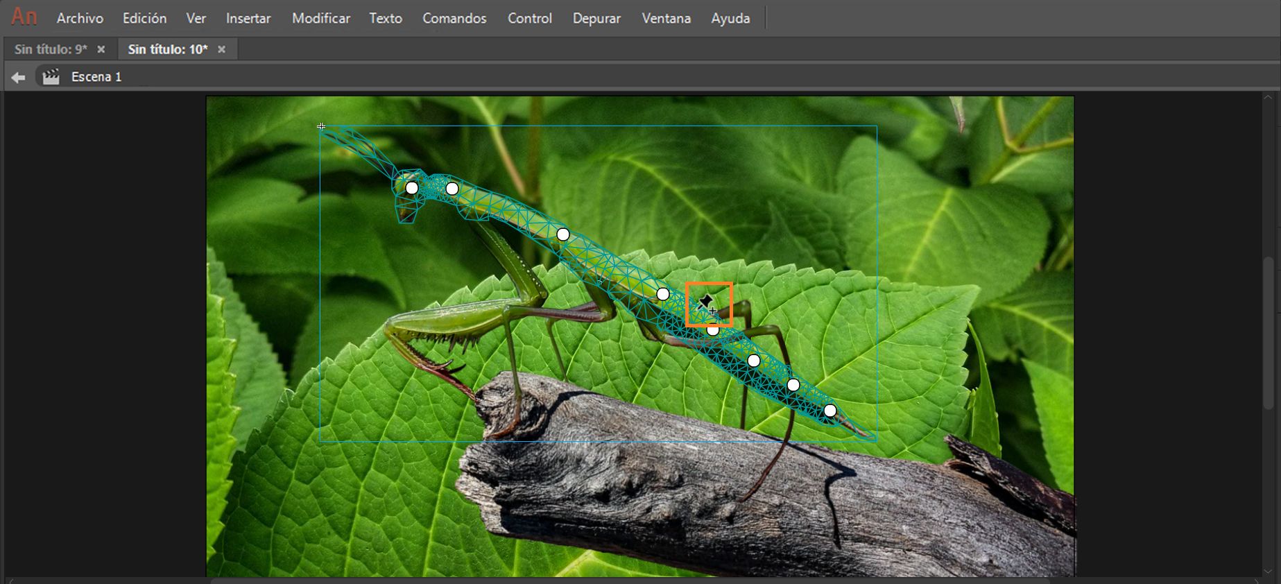 Pasar el cursor sobre una forma o un objeto de dibujo