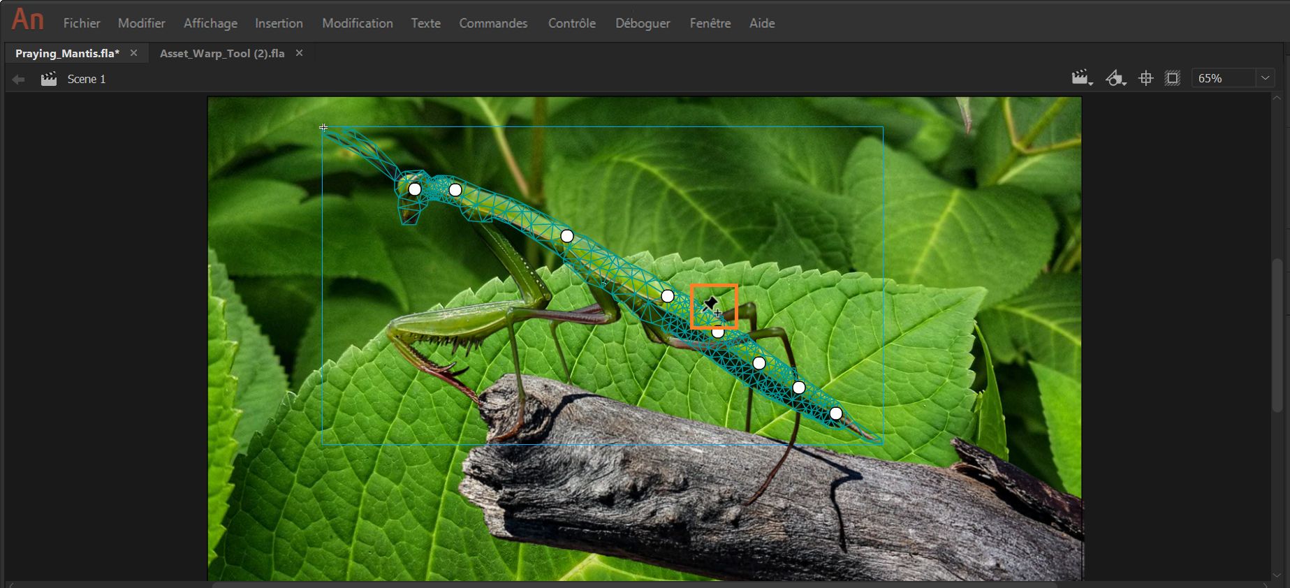 Survol d’une forme ou d’un objet de dessin