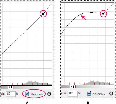 Dopasowywanie histogramu i krzywej tonowania w programie Photoshop