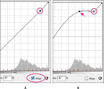 Photoshop Tonlama Eğrisi ve Histogram ayarı