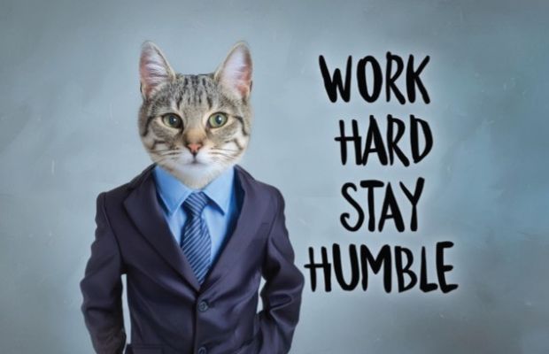 A imagem apresenta um corpo humano vestido com um terno de negócios com uma cabeça de gato em vez de uma humana. À direita, o texto diz “TRABALHE COM DEDICAÇÃO, PERMANEÇA HUMILDE” É uma imagem motivacional com um toque de humor.