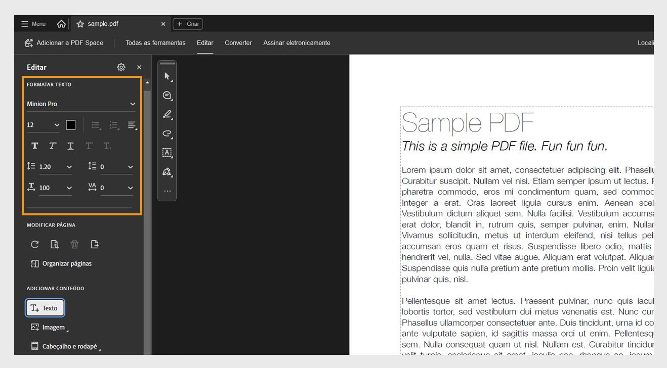 O painel Editar exibe várias opções de formatação de texto. O painel documento mostra o texto selecionado para o usuário editar.