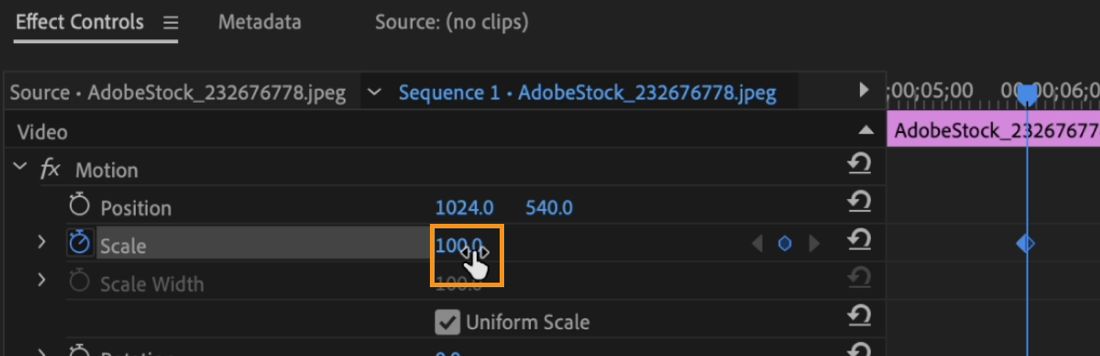 El panel Control de efectos está abierto.El efecto Movimiento está seleccionado y el valor de la propiedad Escala se ajusta a 100.