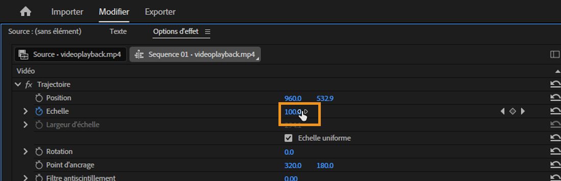 Le panneau Options d’effet est ouvert.L’effet de mouvement est sélectionné et la valeur de la propriété Échelle est réglée sur 100.