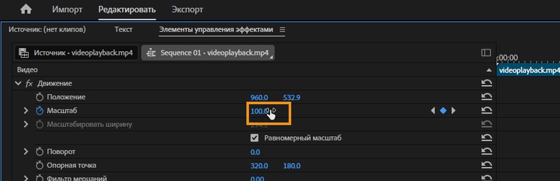  Откроется панель «Элементы управления эффектами». Выбран эффект «Движение», и значение свойства «Масштаб» установлено на 100.