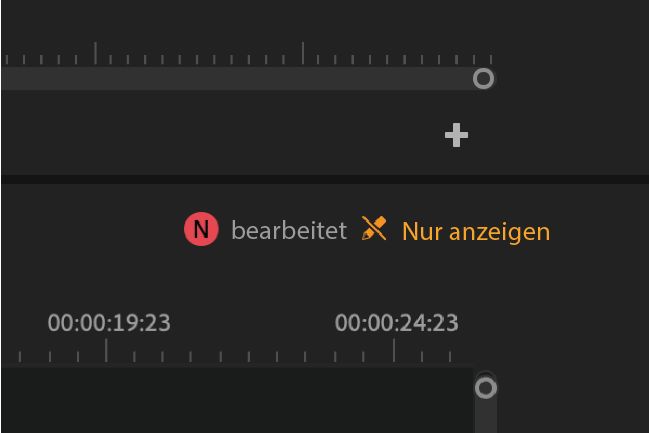 Status „Nur anzeigen“ im Schnittfenster und im Bedienfeld „Projekt“ mit dem Namen der aktiven Mitwirkenden.