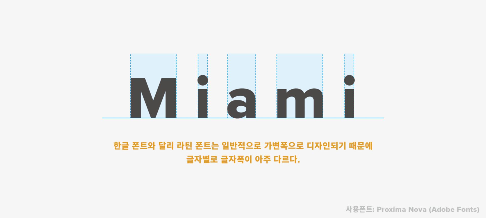 <Image 02 - Latin anatomy A>