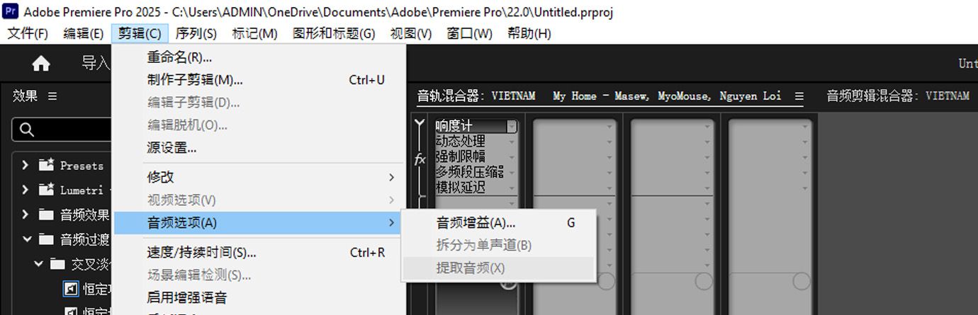 Premiere Pro 中的剪辑菜单，展开了“音频选项”并突出显示了“提取音频”，允许用户从所选视频剪辑中分离音频。图片