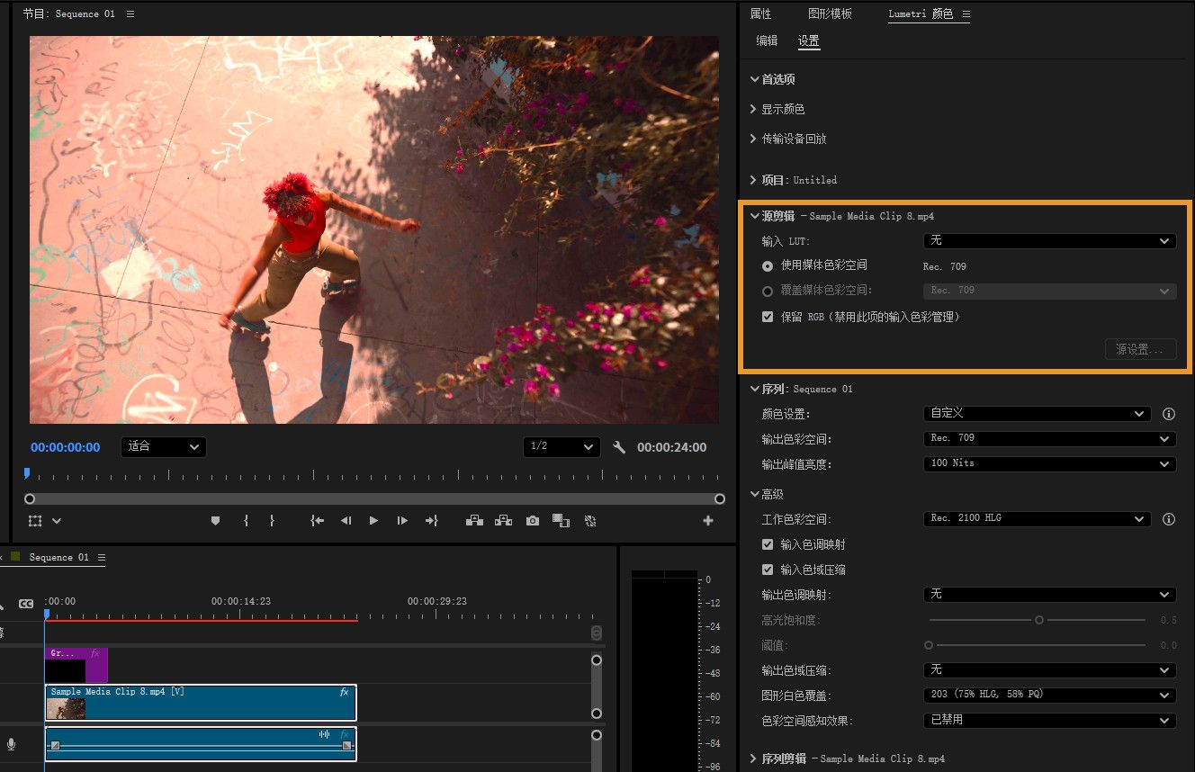 节目监视器已打开，并显示序列预览。 右侧面板显示色彩管理设置，包括源剪辑详细信息。 输入 LUT 为默认值，并且“使用媒体色彩空间”选择为 Rec. 709.