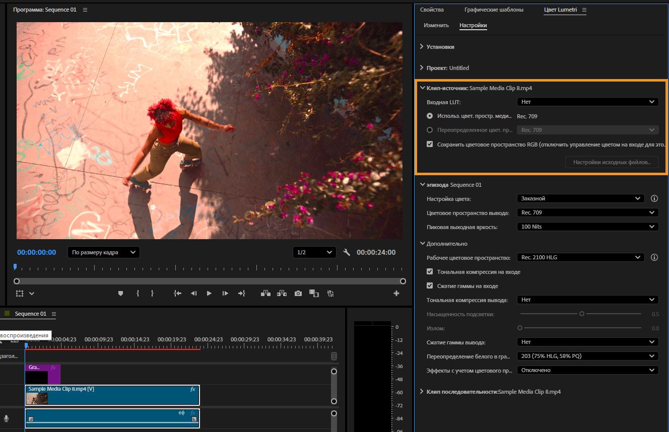 Открыт монитор программы с предварительным просмотром последовательности. На правой панели отображаются настройки управления цветом, включая детали исходного клипа. Входная LUT установлена по умолчанию, и выбрано использование цветового пространства медиаданных Rec. 709.