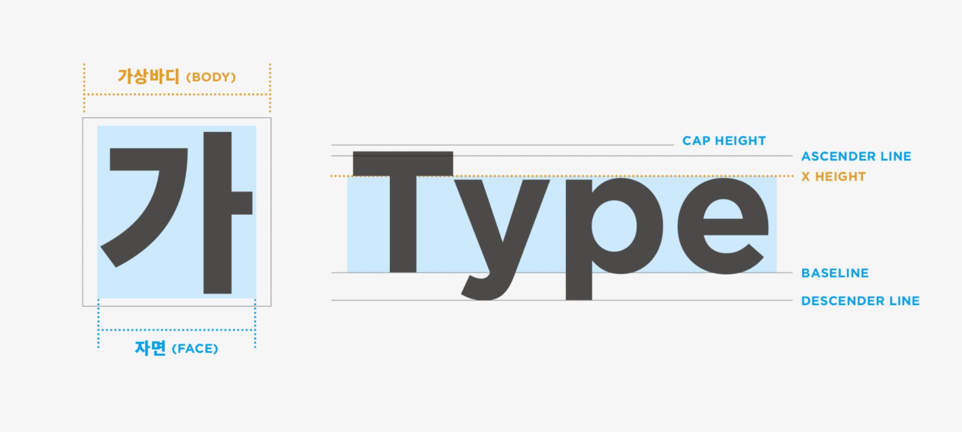 body and letterform