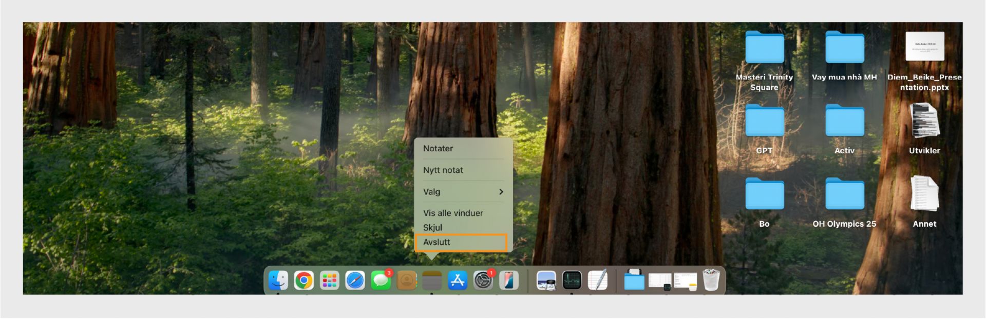 macOS-skjermen viser Avslutt-alternativet for Adobe Acrobat.