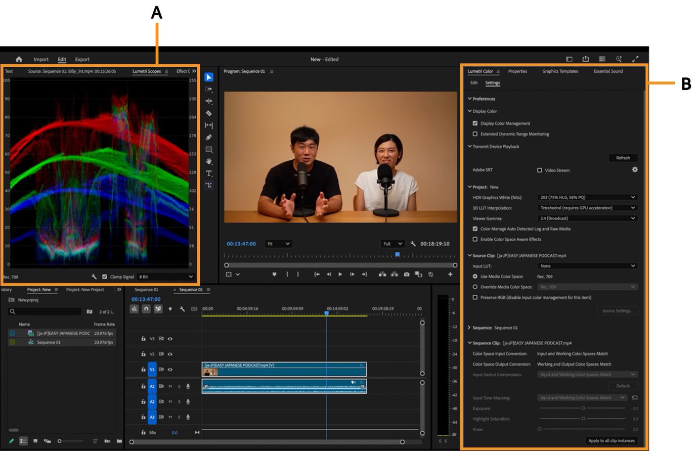 L'area di lavoro colore con Lumetri Color e Lumetri Scope evidenziati e i controlli di correzione colore e gli oscilloscopi visualizzati.