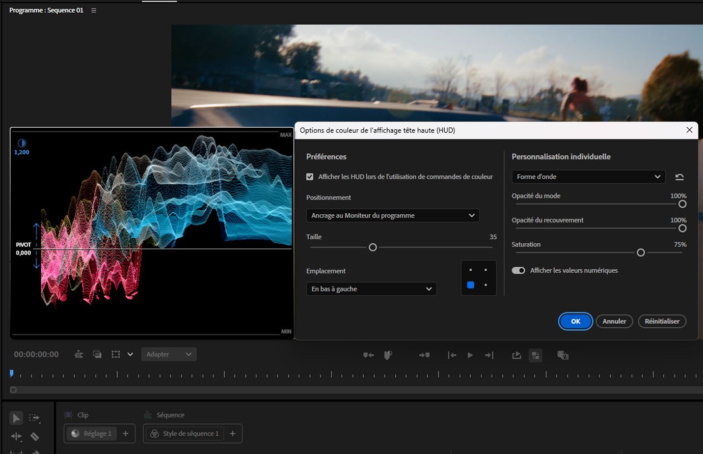 Recouvrement HUD avec vectorscope visible lors du réglage d'un contrôle couleur dans le panneau Couleur.