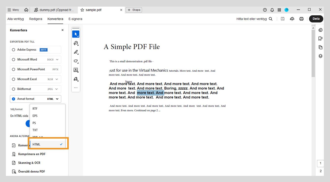 Panelen Konvertera visar HTML-alternativet valt i rullgardinsmenyn Annat format.