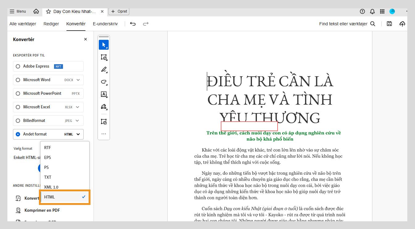 Panelet Konvertér viser HTML-indstillingen, der er valgt i rullemenuen Andet formater.