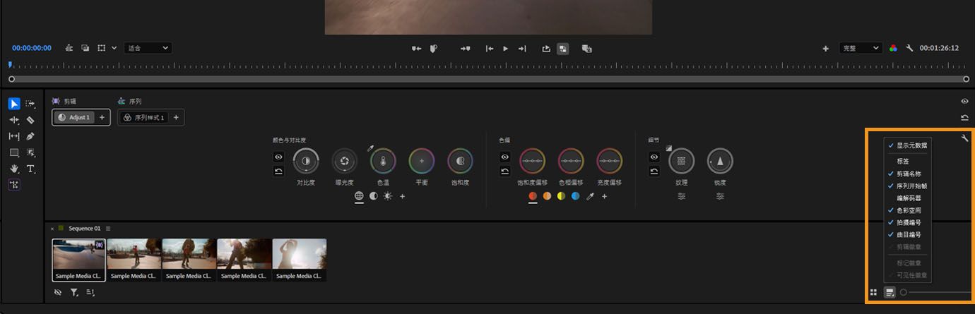 片段网格中显示元数据显示选项和缩略图帧选择菜单。