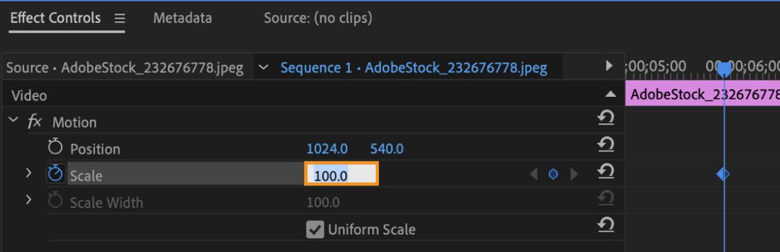 Il pannello Controlli effetti è aperto.L'effetto Movimento è selezionato e la proprietà Scala ha un nuovo valore di 100.Il campo aperto indica che puoi inserire direttamente il valore per la proprietà.