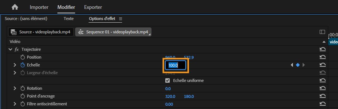 Le panneau Options d’effet est ouvert.L’effet de mouvement est sélectionné et la propriété Échelle a une nouvelle valeur de 100.Le champ ouvert indique que vous pouvez saisir directement la valeur pour la propriété.