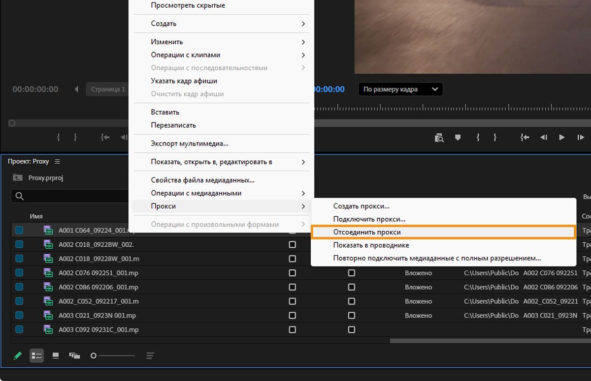 Откройте контекстное меню панели «Проект» и в пункте «Прокси» выберите «Отсоединить прокси».