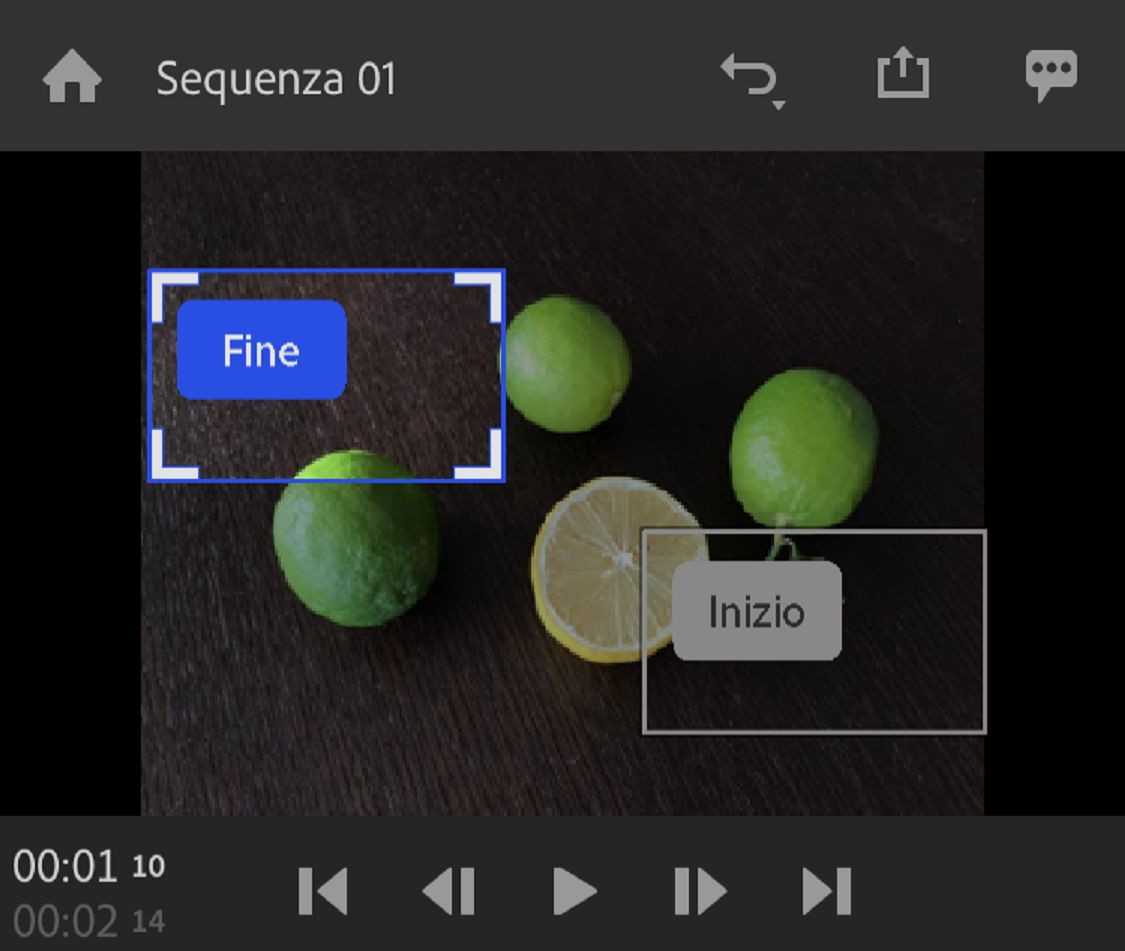 Regolazione dell’effetto Panning e zoom