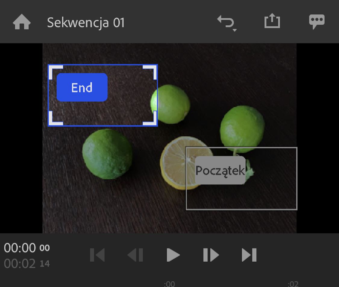 Dostosowanie efektu Panoramowanie i powiększanie