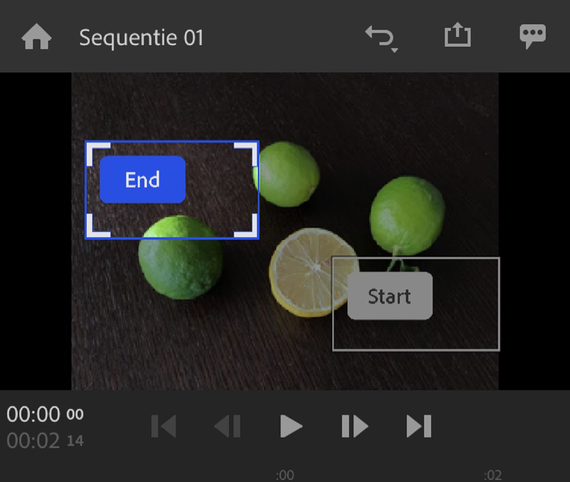 Het pan- en zoomeffect aanpassen