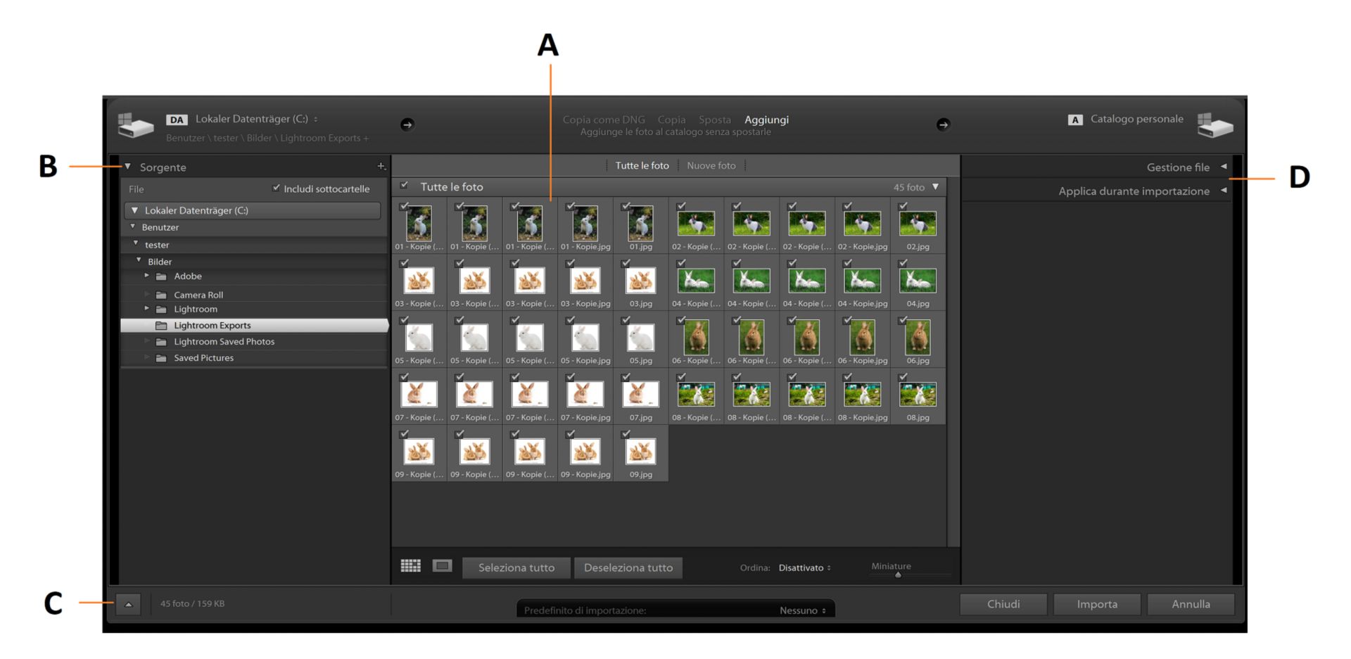 Finestra di importazione Lightroom Classic