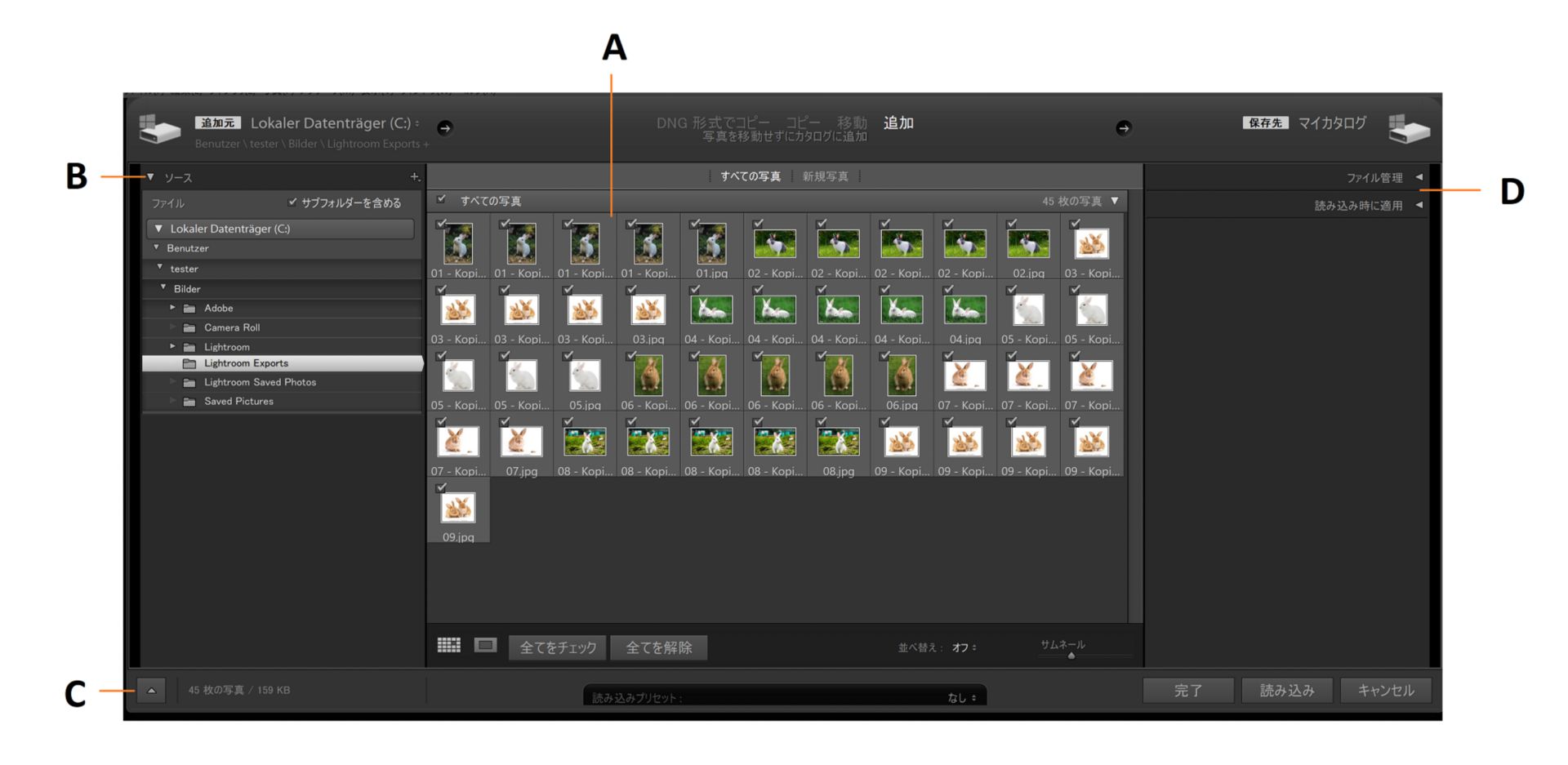Lightroom Classic の読み込みウィンドウ。