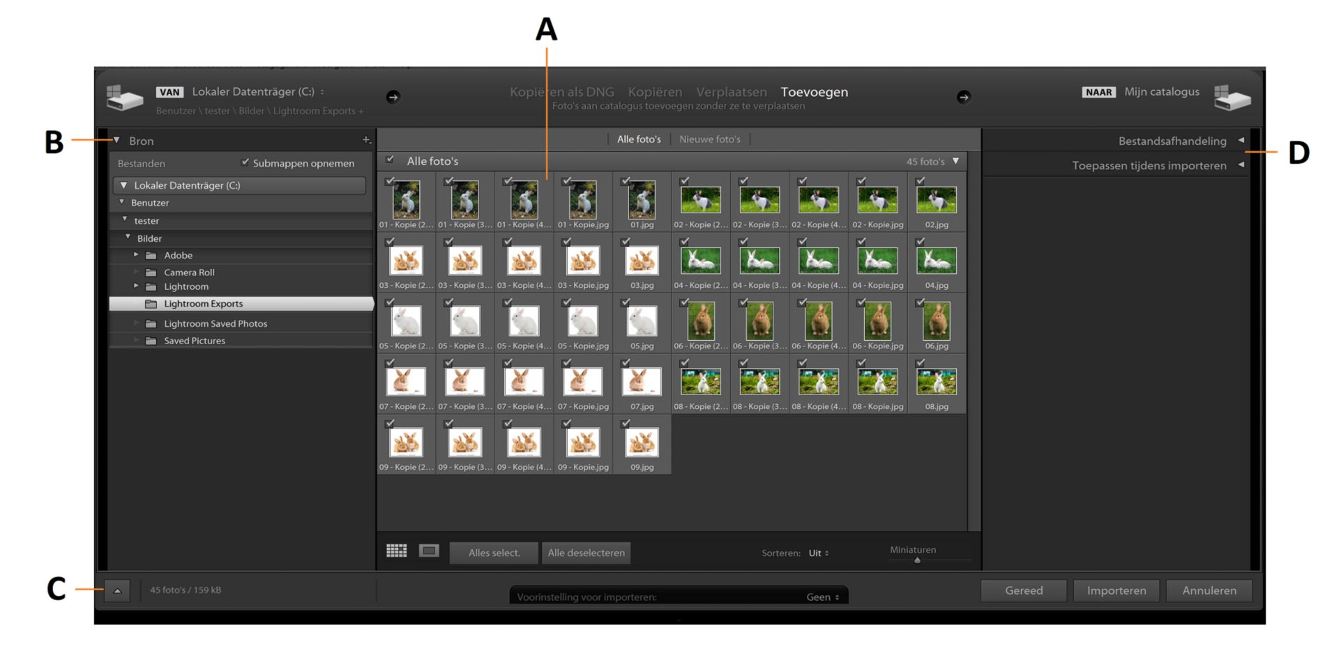 Het importvenster in Lightroom Classic.