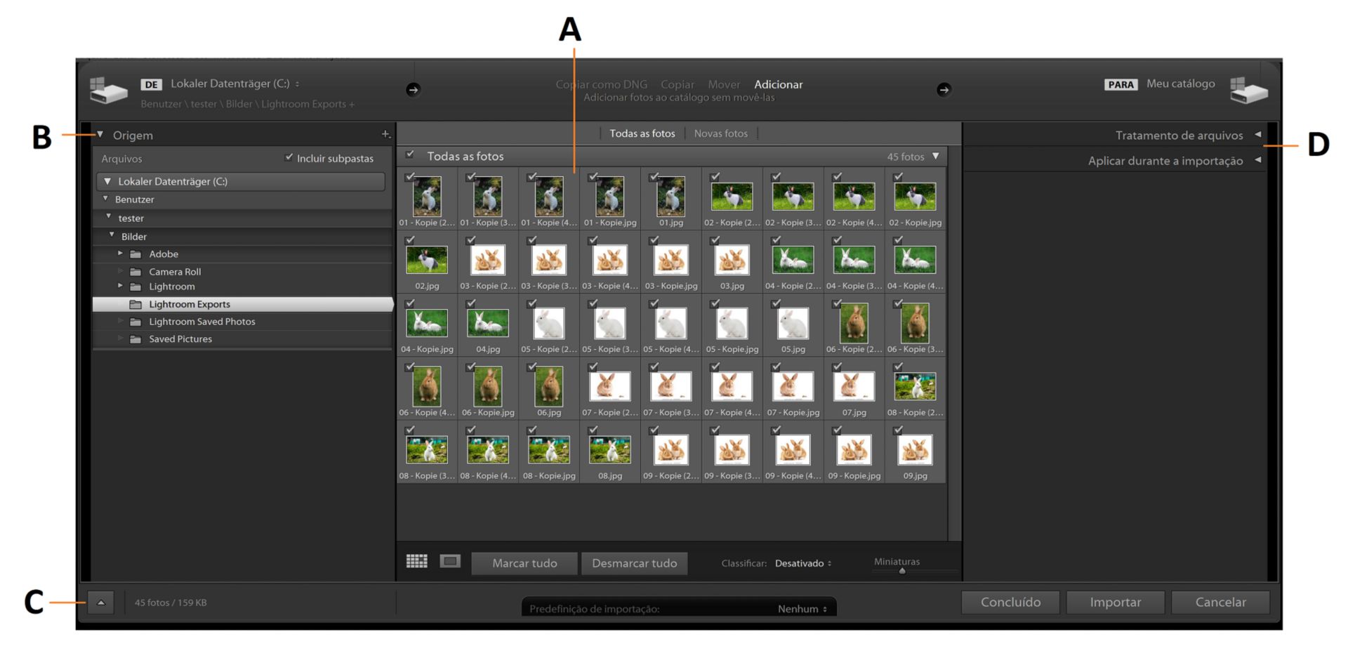A janela de importação do Lightroom Classic.