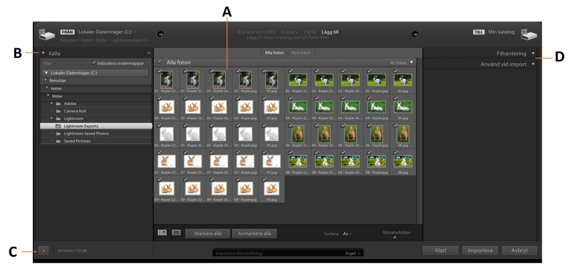 Importfönstret i Lightroom Classic