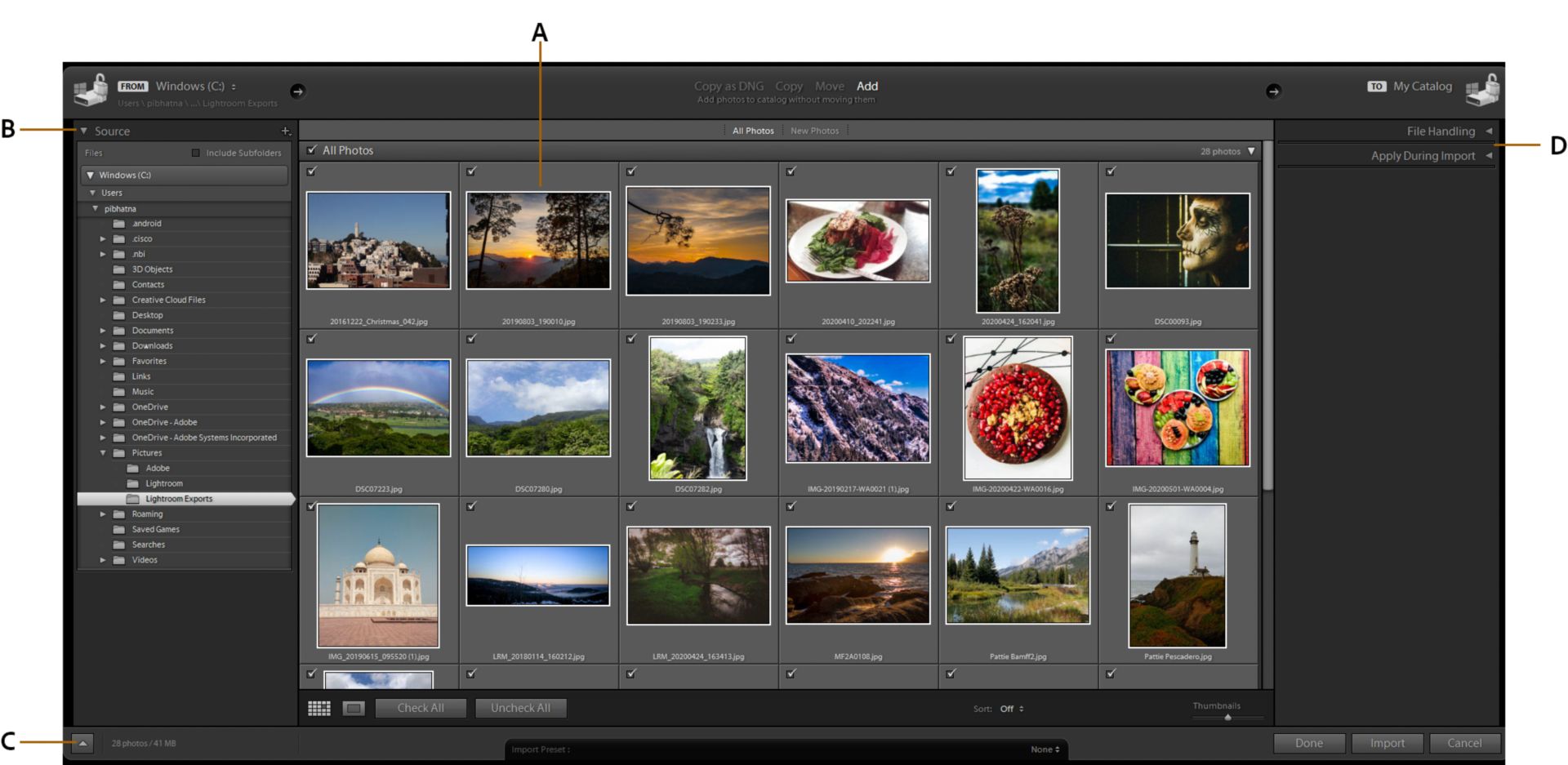 Lightroom Classic 中的讀入視窗。