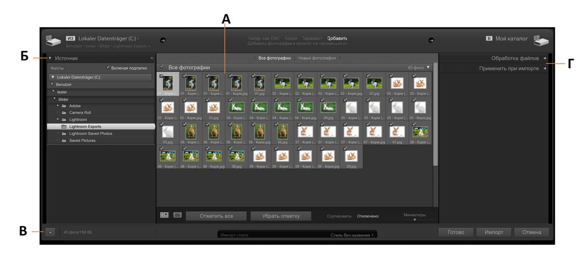 Окно импорта в Lightroom Classic