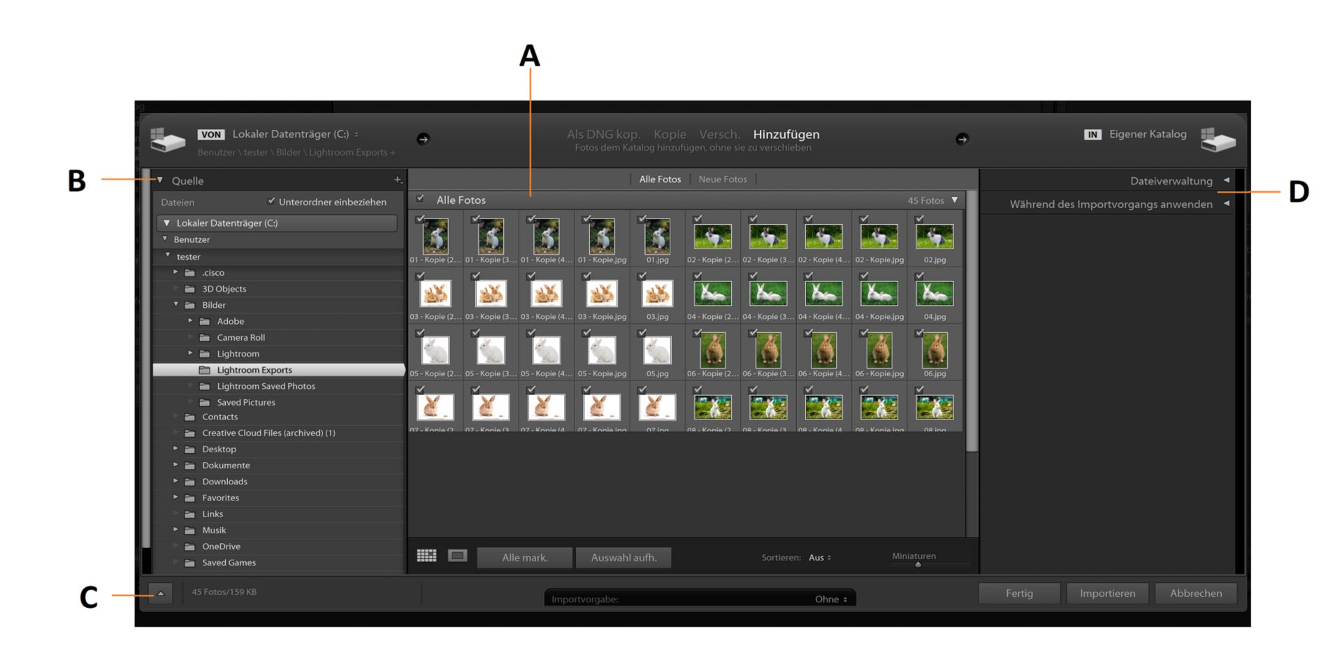 Das Importfenster von Lightroom Classic