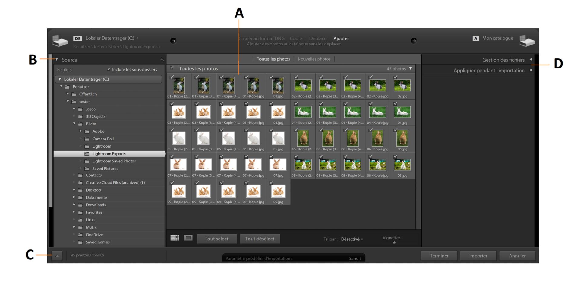 Fenêtre d’importation de Lightroom Classic.