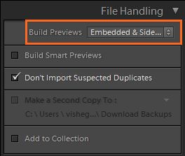Opcja Wbudowane i poboczne w oknie importu