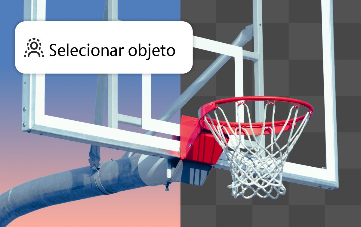 Um desenho animado de uma foca com óculos de sol em um prato