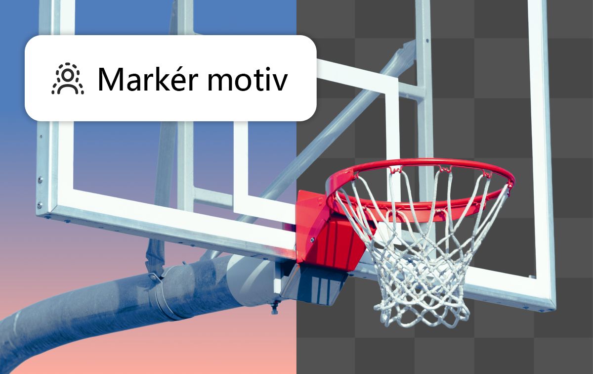 En tegneserie af en sæl med solbriller på en tallerken