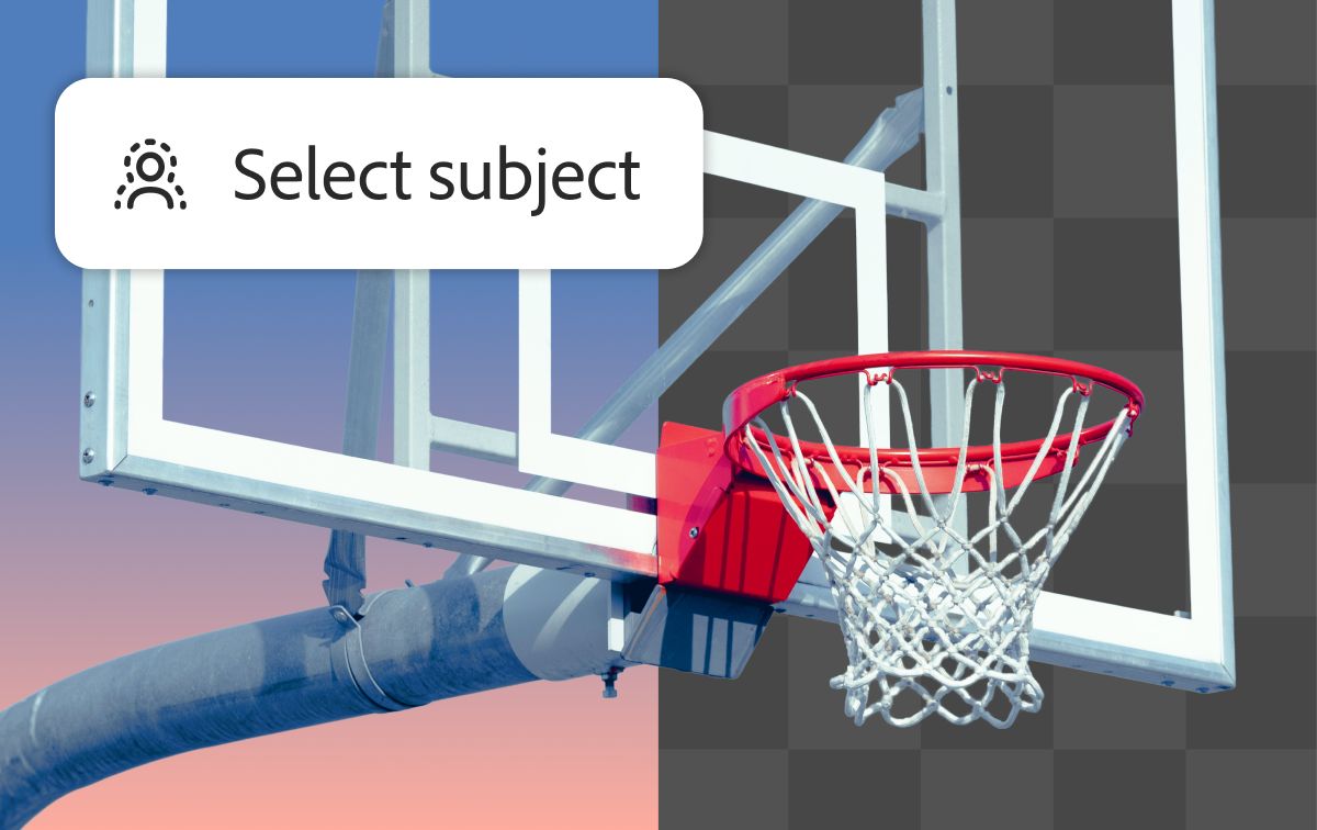 Un dibujo animado de una foca con gafas de sol en un plato