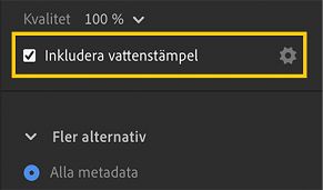 Alternativet Inkludera vattenstämpel i exportinställningarna