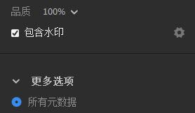 “导出”设置中的“包含水印”选项