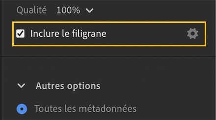 Option Inclure le filigrane dans les paramètres d’exportation