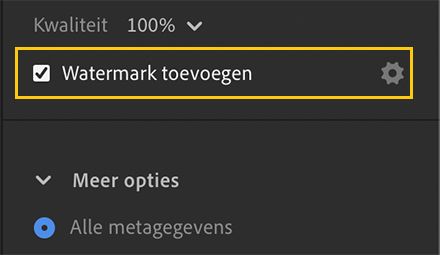 De optie Watermerk toevoegen in de exportinstellingen